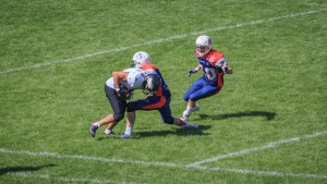 2015-05-centaures-ours-2-083.jpg