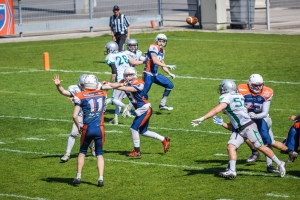 centaures-giants-239
