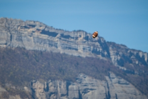 centaures-giants-271